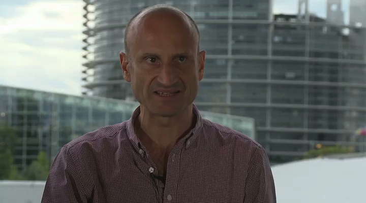 What to do in a website